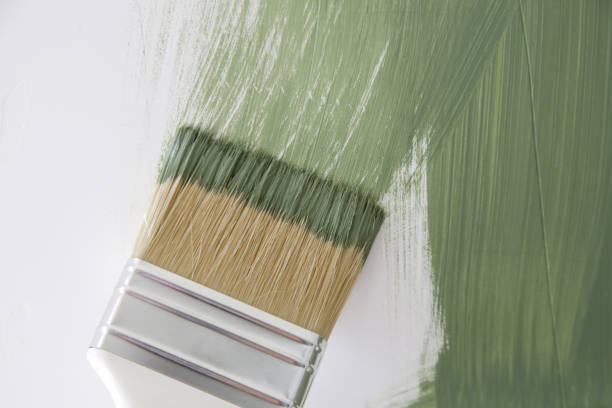 Best Attic Mold Removal  in Southport, CT