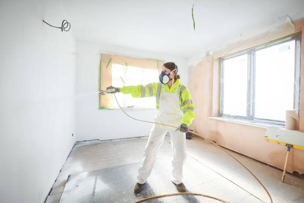 Best Crawl Space Mold Remediation  in Southport, CT