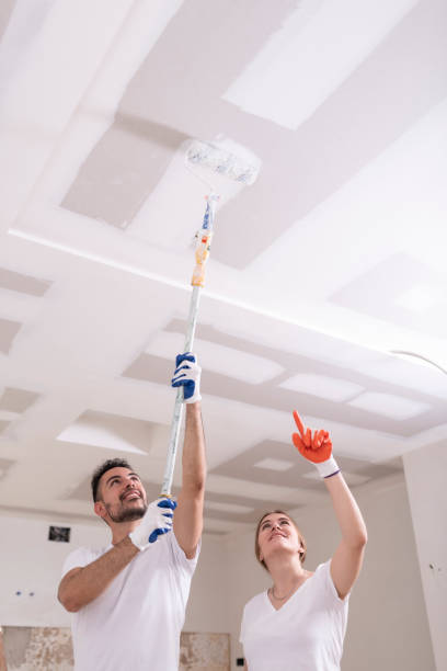 Best Black Mold Removal  in Southport, CT