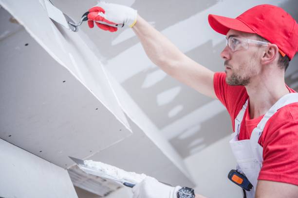 Best Mold Remediation for Vacation Homes  in Southport, CT